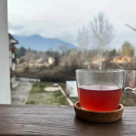 Vibes - Vesta Boutique Daire Bansko