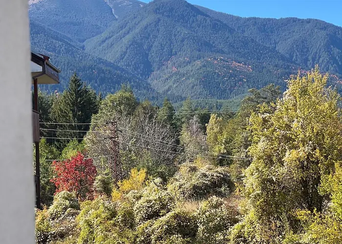 Vesta Boutique Apartment